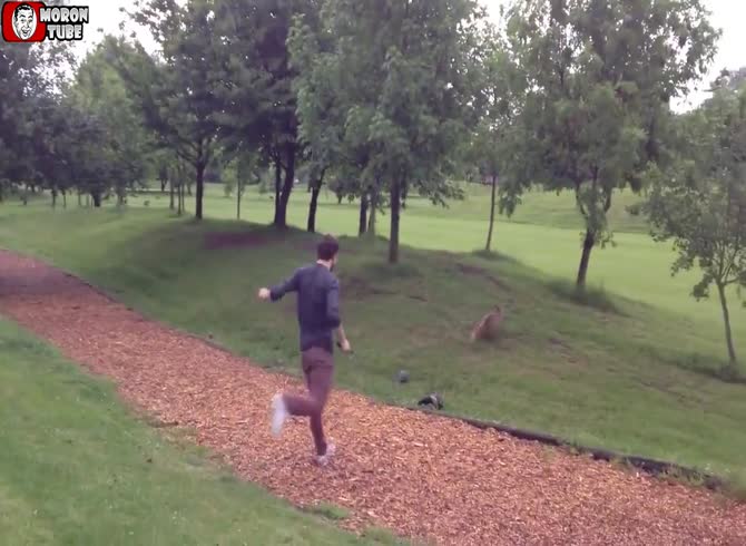 Video :A fox and a golfer enjoy having a good time